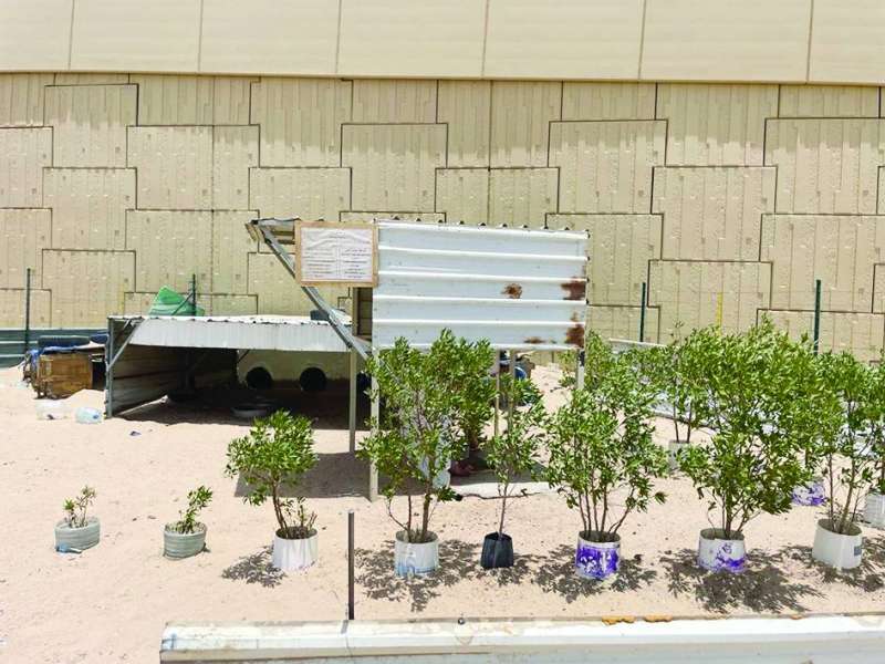 أحد المواقع التي يضع فيها متطوعون طعاماً ومياهاً للكلاب
