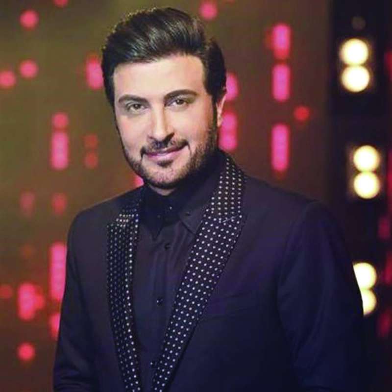 
ماجد المهندس
