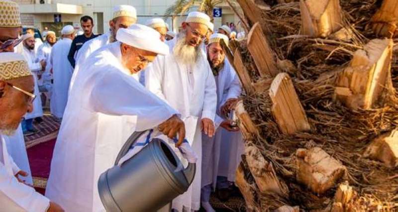 سلطان البهرة يهدي الكويت 250 نخلة
