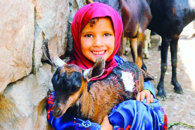 طفلة مع ماعز في مشروع لتربية الماشية