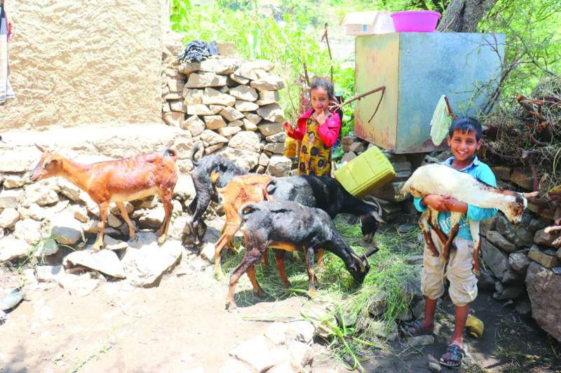 طفلان مع ماعز في مشروع لتربية الماشية 