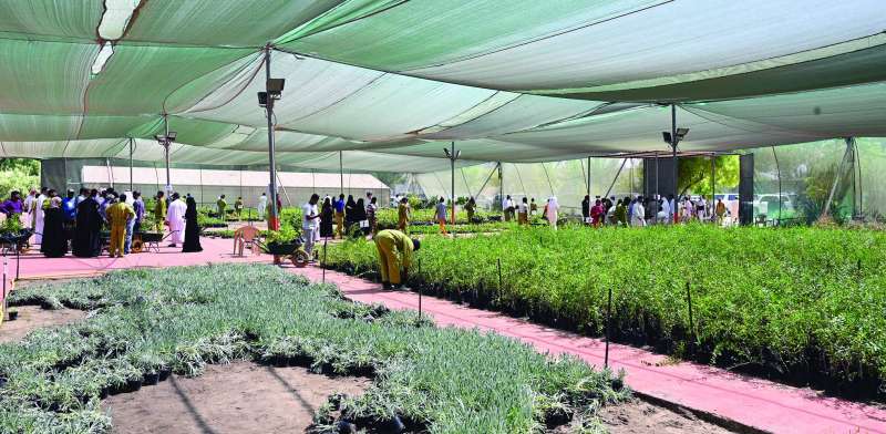 
حركة زوار دائبة في المشتل 	(تصوير نايف العقلة)