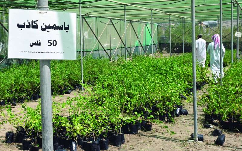 أسعار زهيدة