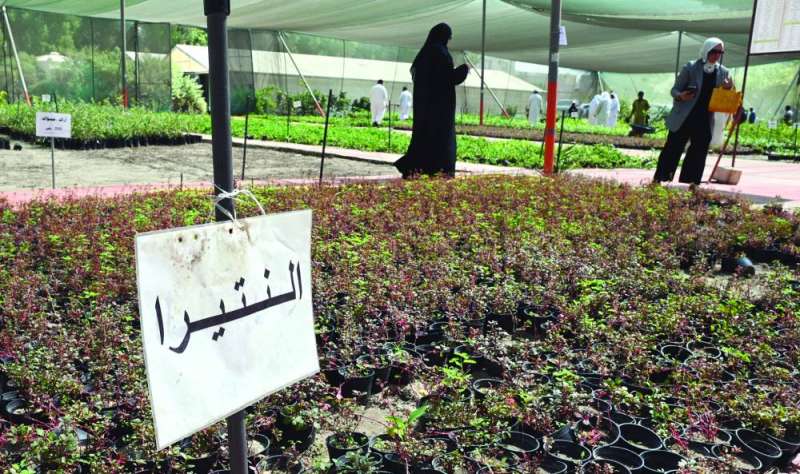 
نباتات عربية وأجنبية
