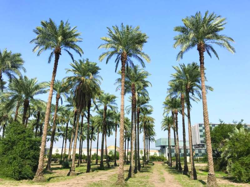 تشديد على ضرورة تعزيز التنمية الزراعية
