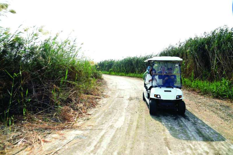 التنقل بعربات صديقة للبيئة