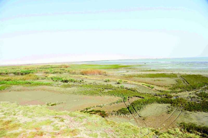 محمية الجهراء... طبيعة خلابة