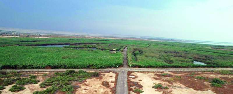 المحمية ممتدة على مساحة 18 ألف متر مربع