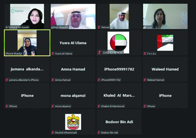 السفير الإماراتي والمشاركون في الندوة «أون لاين»