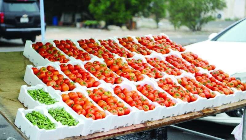 
طماط وبامية
