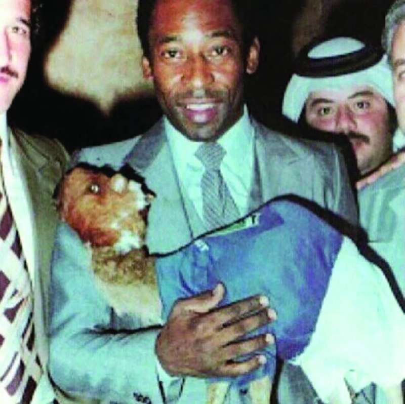 
... والنجم بيليه يحمل مجسماً لـ «جمل الكويت» في مونديال 1982
