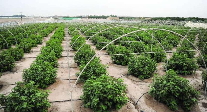 جانب من المزرعة