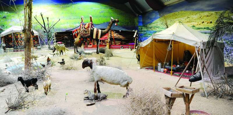 الحياة البرية 