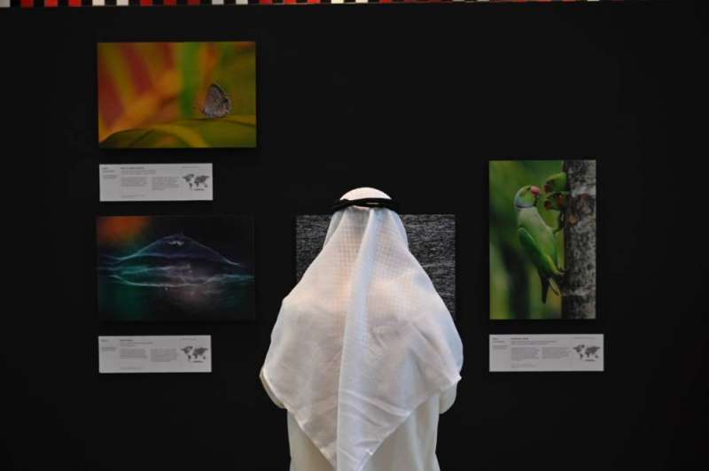 معرض مصور الحياة البرية 2021