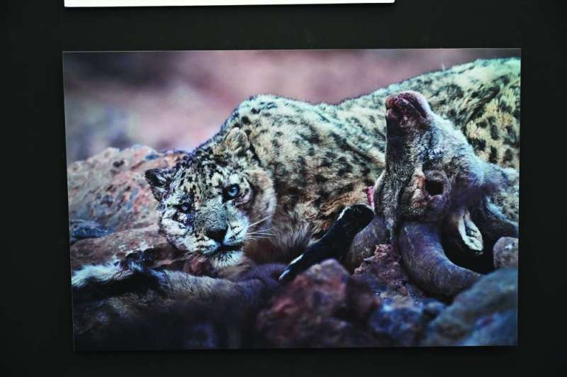 صورة من المعرض