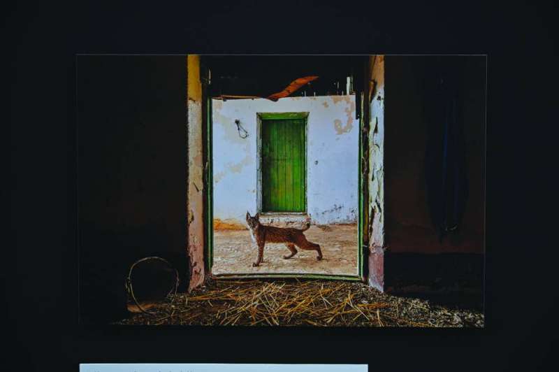 إحدى الصور المشاركة 