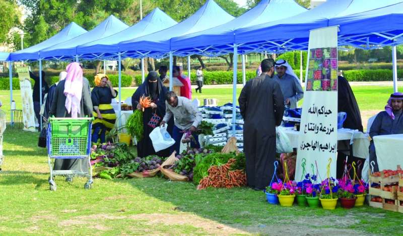خضار من المزرعة إلى المشتري 