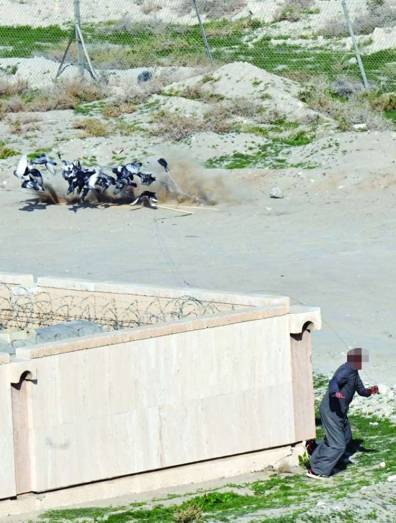 سحب الخيط لاقتناص مصيده