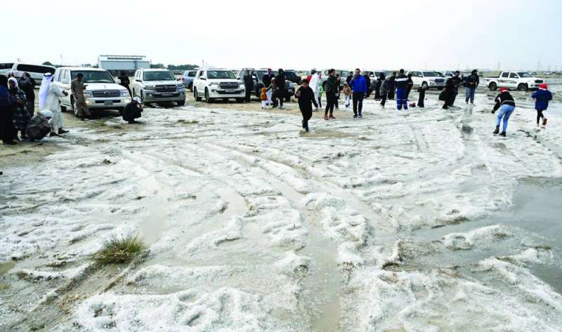 
عجلات السيارات فتحت شوارع وسط بساط البردي