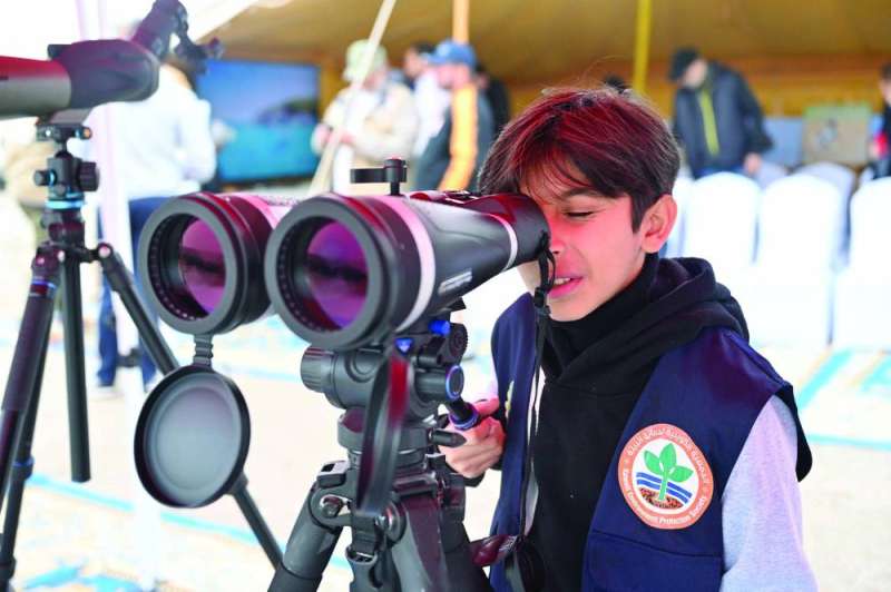 أحد الأطفال يتابع بشغف منظر الطيور 