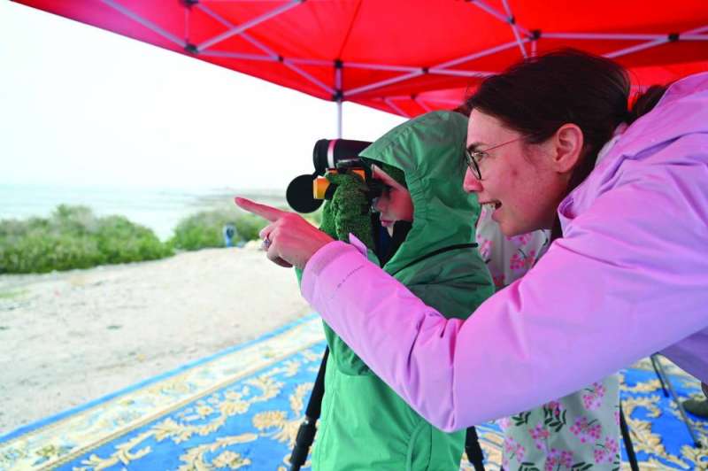 طرق مختلفة لعملية الرصد والعد 