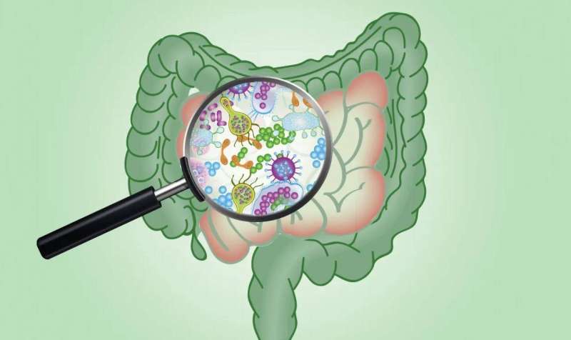 فرط النمو البكتيري «SIBO»