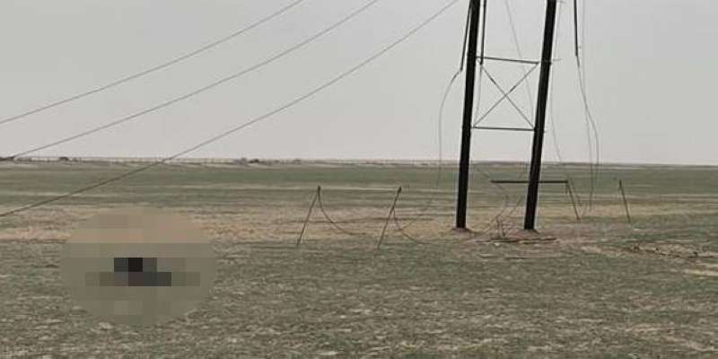 الجثة في بر كبد