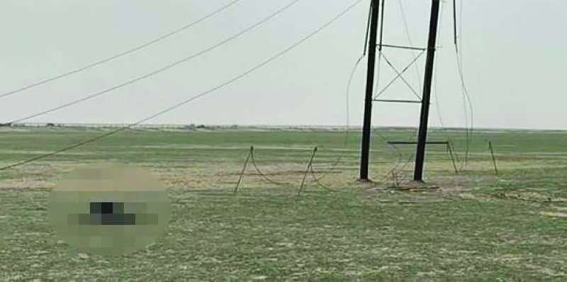 الجثة في بر كبد