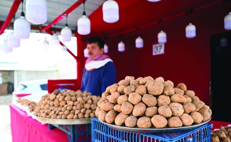 أنواع متعددة من دول الجوار 