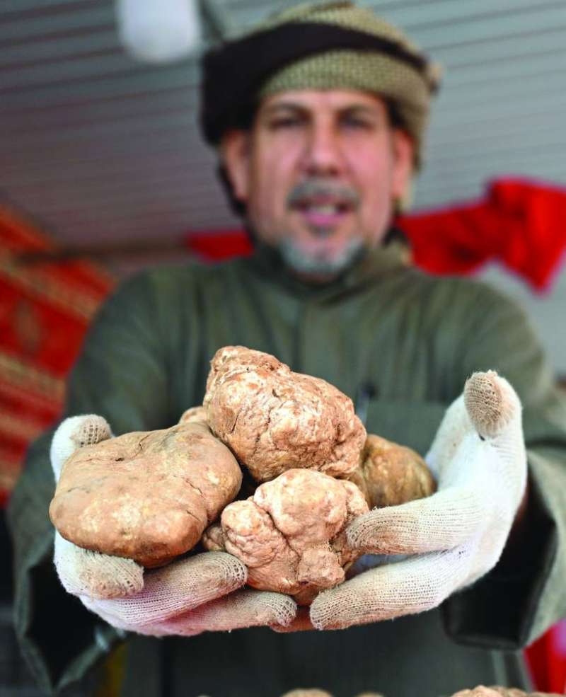 
خيرات الأرض في موسم الأمطار	 (تصوير نايف العقلة)
