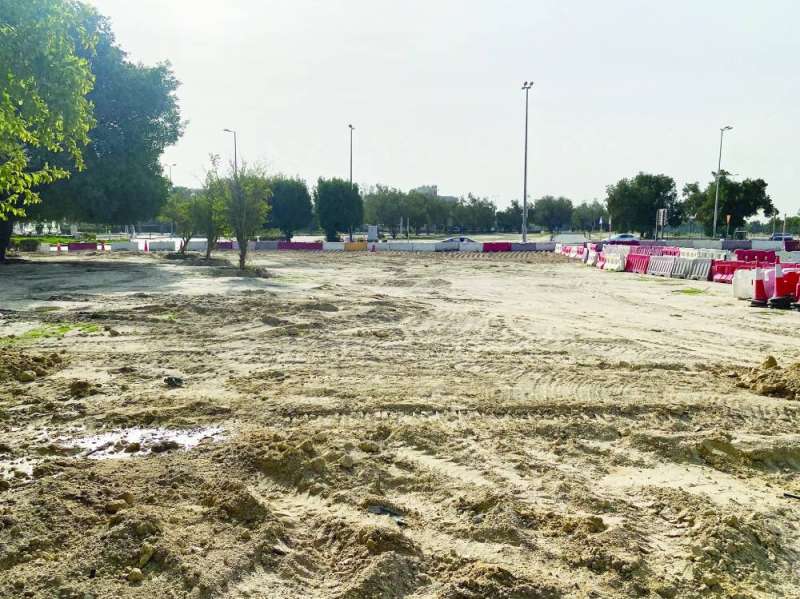 الأشجار في خبر كان 