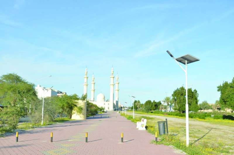 أعمدة إنارة بالطاقة الشمسية في إحدى الحدائق 	(تصوير سعود سالم) 