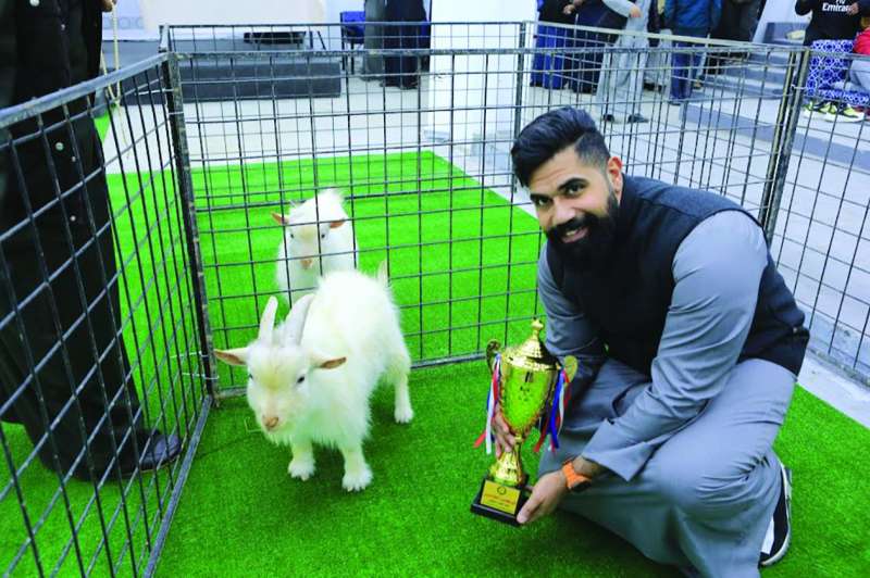 ماعز تحصد المركز الخامس