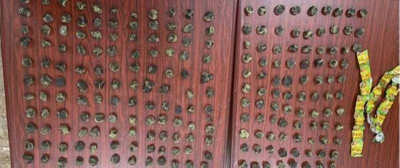  ضبط شخص بحوزته 280 قطعة حشيش في المطار 
 