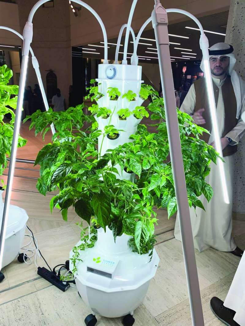 إحدى نبتات المشروع