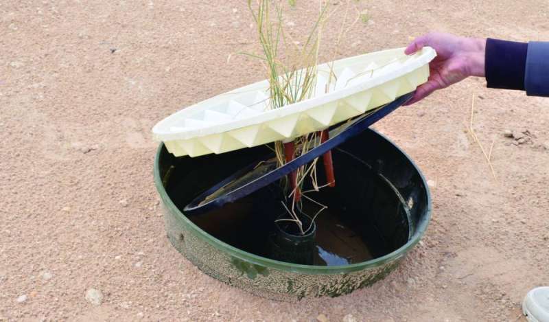 حوض مائي يكفي الشتلة شهراً