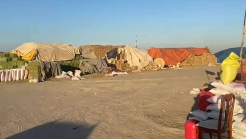 (تصوير سعود سالم )

 