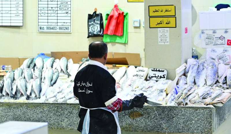 
وللأسماك نصيب من «ماجلة» رمضان
