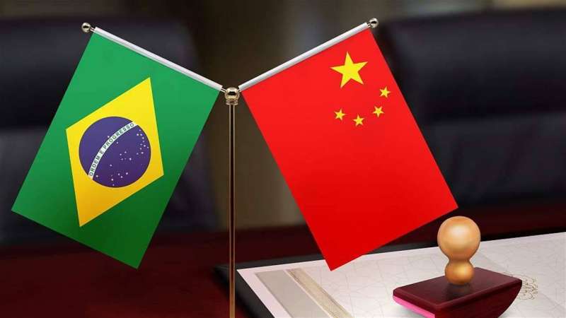 علما الصين والبرازيل 