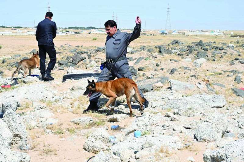 
الاستعانة بكلاب الأثر
