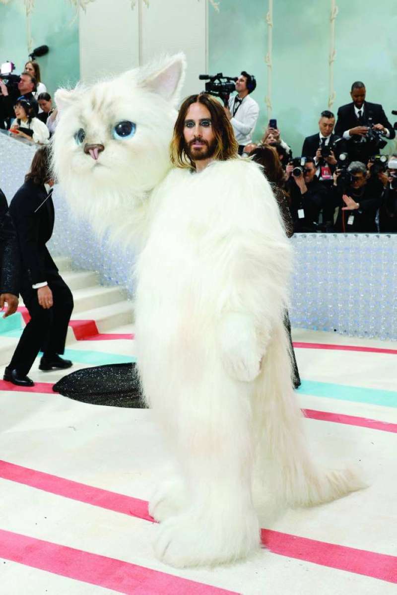 جاريد ليتو بزي القطة