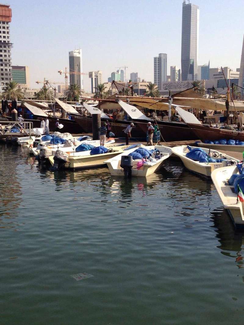 اتحاد الصيادين يكرر مناشدته لوزير الداخلية لفتح سمات دخول العمالة
 