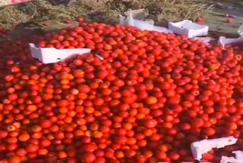 منتجات لا تجد مشترياً بسبب إشباع السوق 