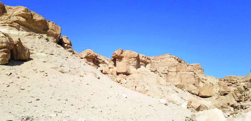 
سماء كاظمة وأرضها لوحة بديعة 	(بعدسة الجمعية الكويتية لحماية البيئة)
