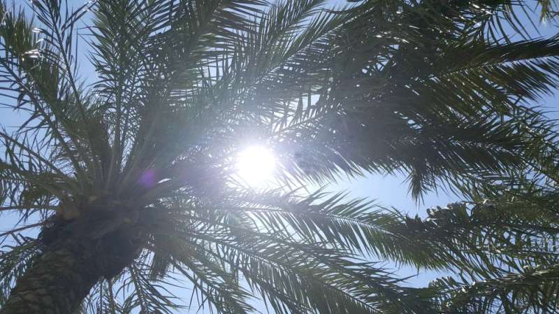 طقس شديد الحرارة نهاية الأسبوع