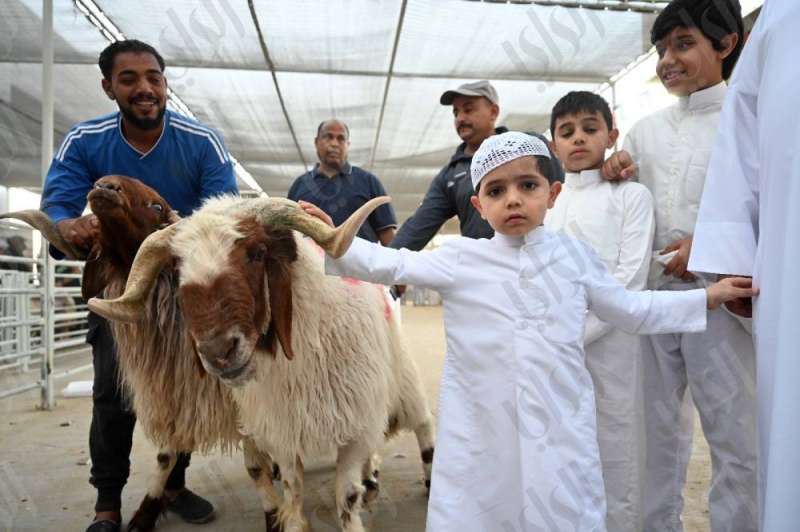 مسلخ العاصمة