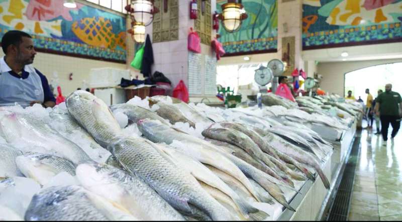 أنواع أخرى من الأسماك لا يوجد فيها الميد 