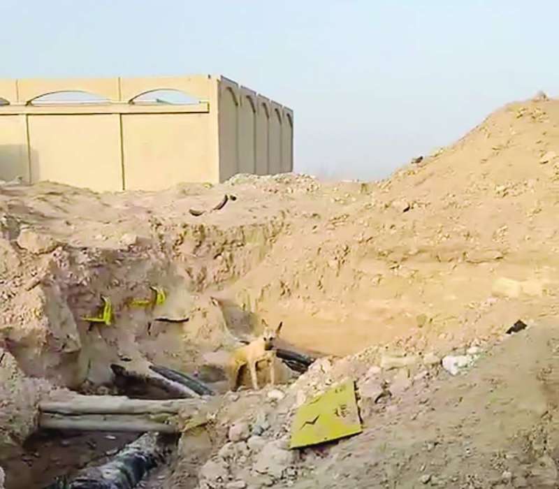 
كابلات مكشوفة ومعرضة للشمس