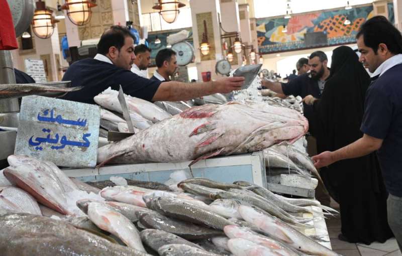 السوق يشكو من قلة الصيادين	(تصوير نايف العقلة)