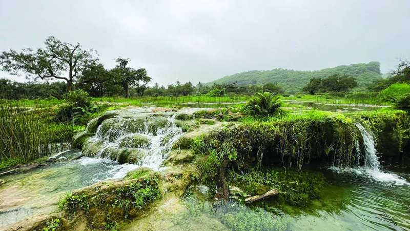 (وادي دربات) من أجمل المناطق السياحية في صلالة بطبيعته الخلابة وشلالاته وبحيراته وجباله